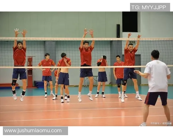 杨磊独家分享排球心得与技巧助你提升竞技水平与团队配合能力