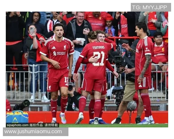 足球明星格罗巴的传奇之路与辉煌成就揭秘